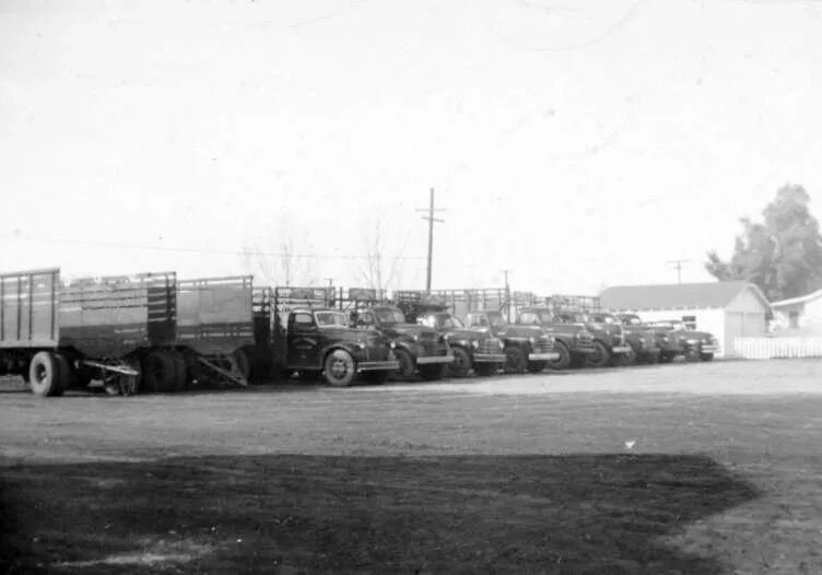 A black and white photo of trucks parked in a lot.